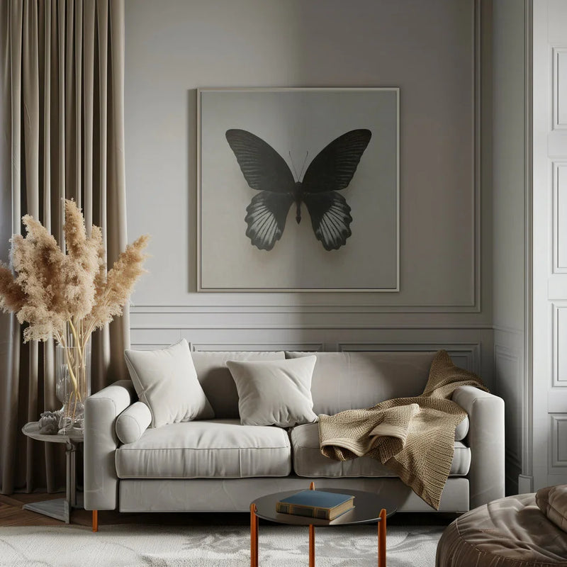 Black Mormon Butterfly Square by Alyson Fennell Square Canvas Print Art for Modern Home Decor. Decorate your office or living room with canvas artwork