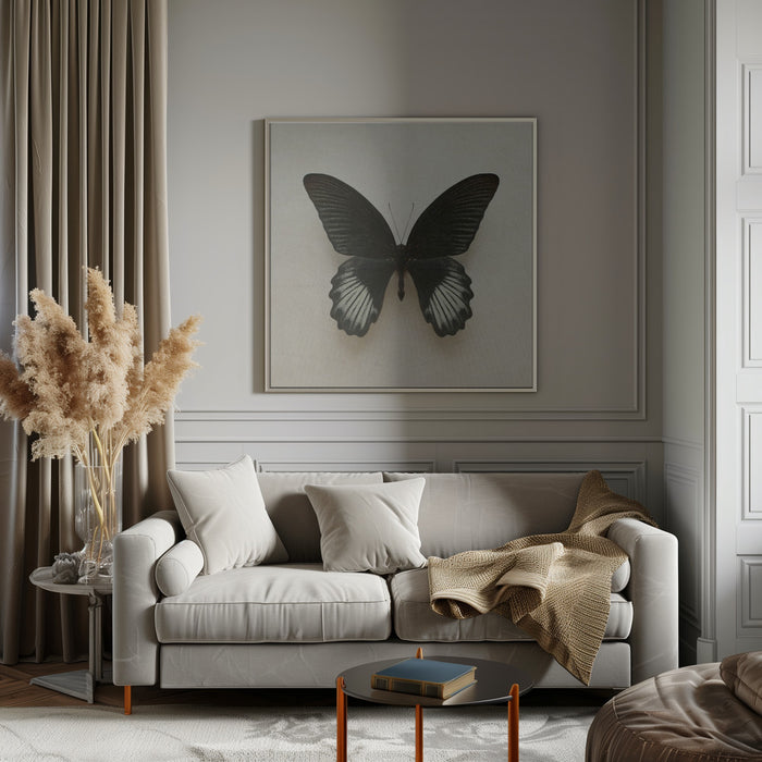 Black Mormon Butterfly Square by Alyson Fennell Square Canvas Print Art for Modern Home Decor. Decorate your office or living room with canvas artwork