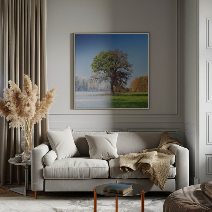 4 seasons by Adam Brzuszek Square Canvas Print Art for Modern Home Decor. Decorate your office or living room with canvas artwork