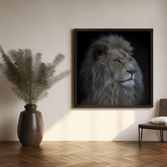 Proud Lion Square Canvas Art  Louise Wolbers 
