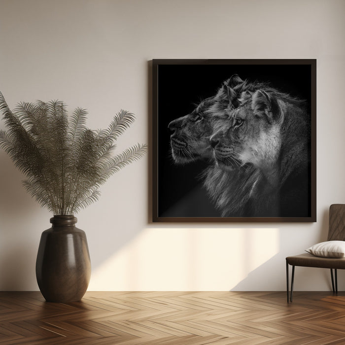 Lion and  lioness portrait Square Canvas Art  Laurent Lothare Dambreville 