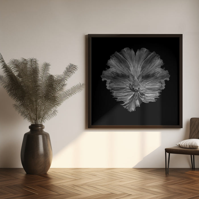 The Flower of tail Square Canvas Art  Andi Halil 
