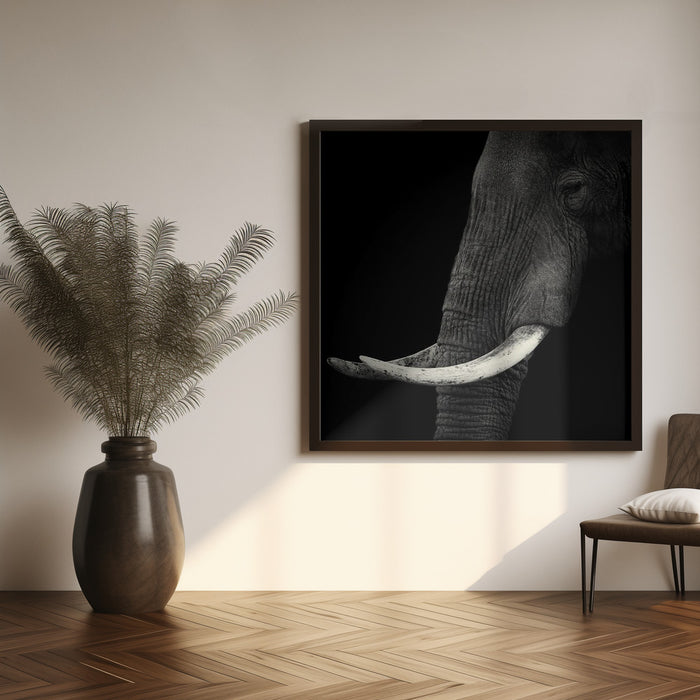 Elephant profile Square Canvas Art  Hannes Bertsch 