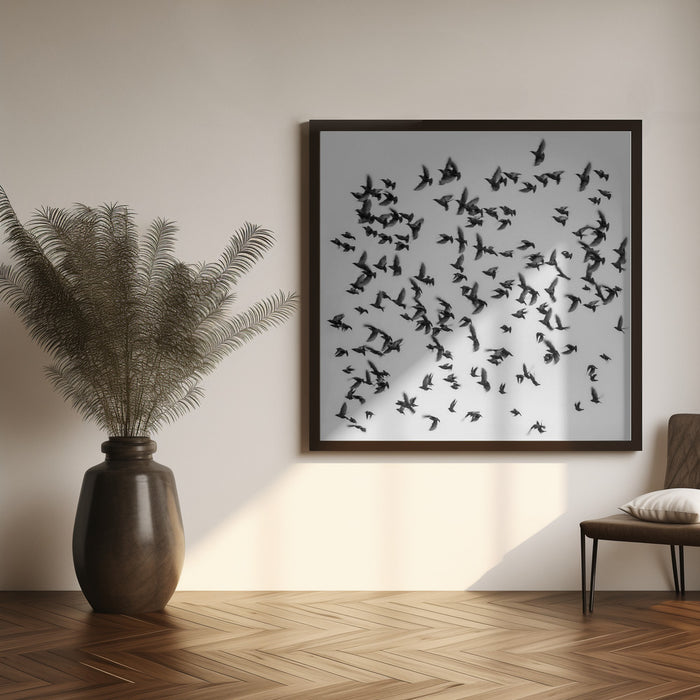 Birds by Branko Markovic Square Canvas Print Art for Modern Home Decor. Decorate your office or living room with canvas artwork