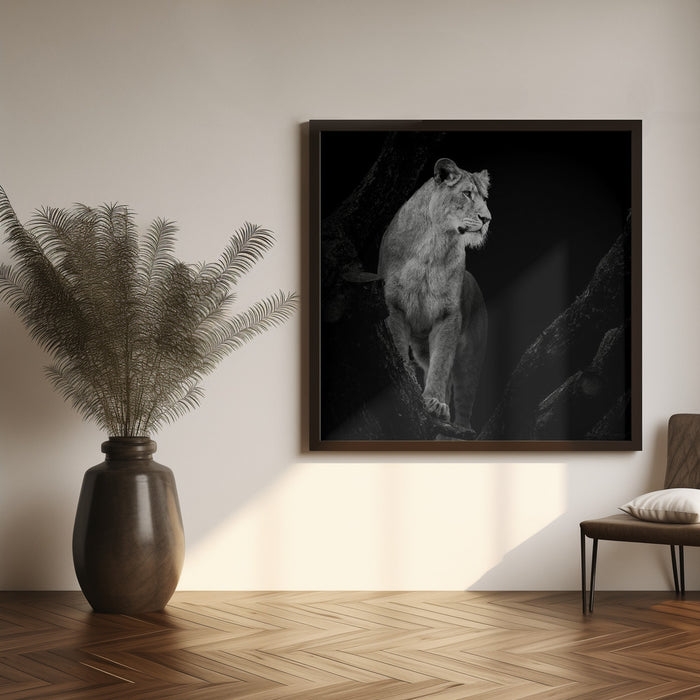 Lioness Square Canvas Art  Christian Meermann 