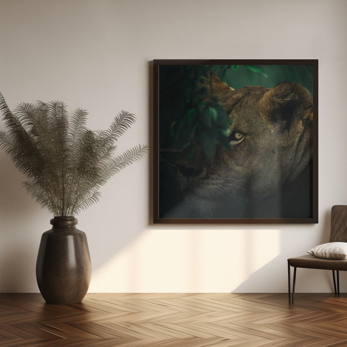 Eye Contact Square Canvas Art  Ahmed Sobhi 