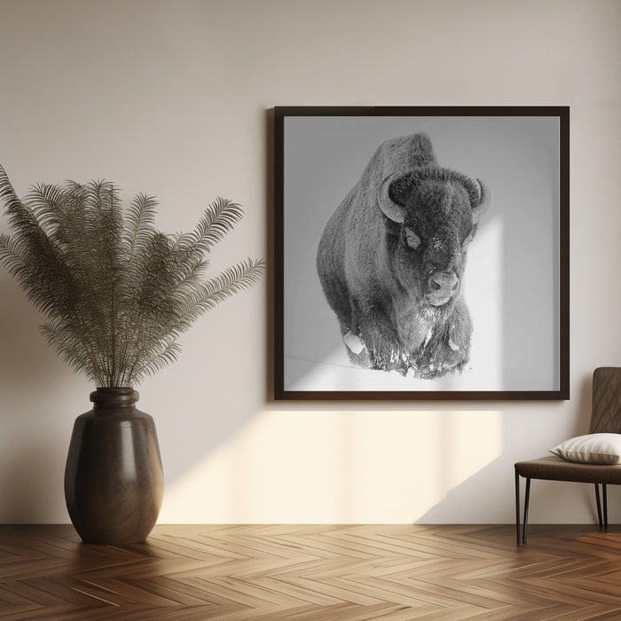 Determined by Bill Mugg Square Canvas Print Art for Modern Home Decor. Decorate your office or living room with canvas artwork