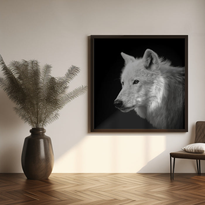 White Wolf #2 by Christian Meermann Square Canvas Print Art for Modern Home Decor. Decorate your office or living room with canvas artwork