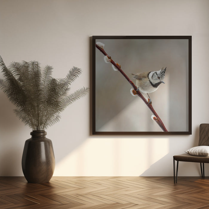 Sweet! by Annie Keizer Square Canvas Print Art for Modern Home Decor. Decorate your office or living room with canvas artwork
