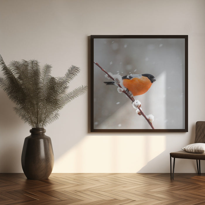 Bullfinch in a snowstorm. by Annie Keizer Square Canvas Print Art for Modern Home Decor. Decorate your office or living room with canvas artwork