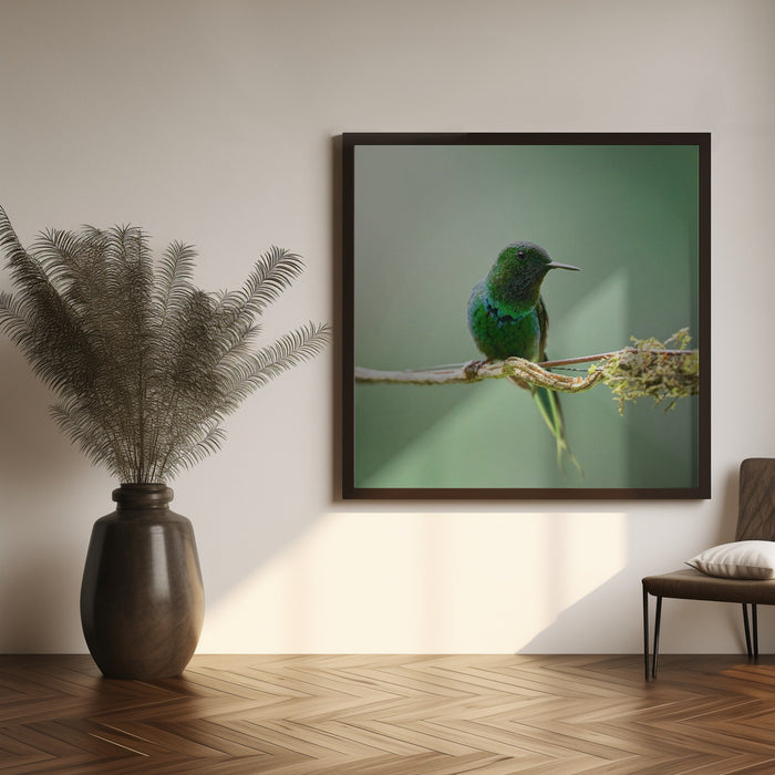 Discosura conversii by Lisandro PEREZ Square Canvas Print Art for Modern Home Decor. Decorate your office or living room with canvas artwork