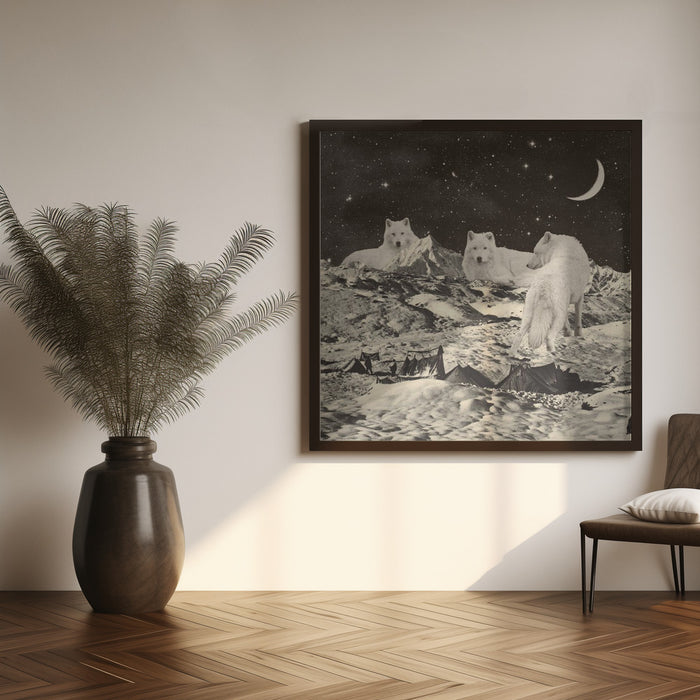 Giant White Wolves Square Canvas Art  Florent Bodart 
