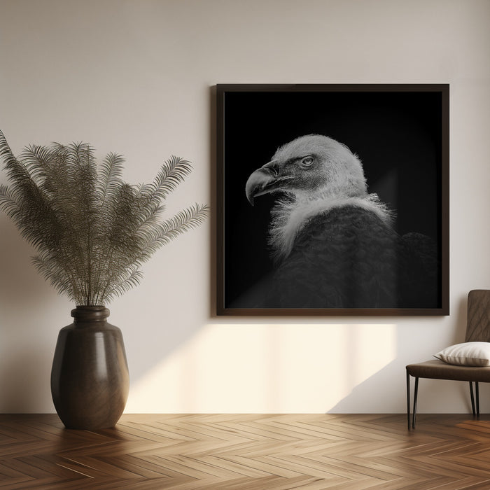 Eurasian Griffon #7 by Christian Meermann Square Canvas Print Art for Modern Home Decor. Decorate your office or living room with canvas artwork