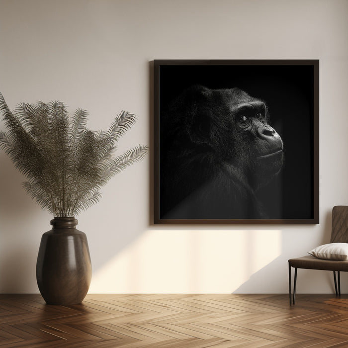 Gorilla by Christian Meermann Square Canvas Print Art for Modern Home Decor. Decorate your office or living room with canvas artwork
