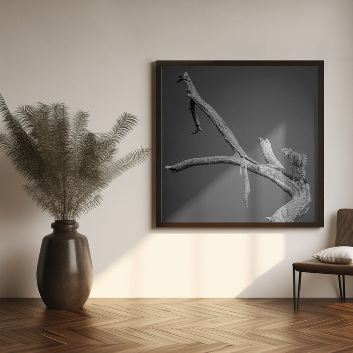The Climb by Ali Khataw Square Canvas Print Art for Modern Home Decor. Decorate your office or living room with canvas artwork