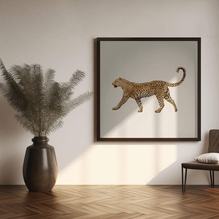 Leopard by Giulia Borsi Square Canvas Print Art for Modern Home Decor. Decorate your office or living room with canvas artwork