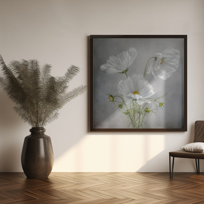 Cosmos Charm Square Canvas Art  Mandy Disher 