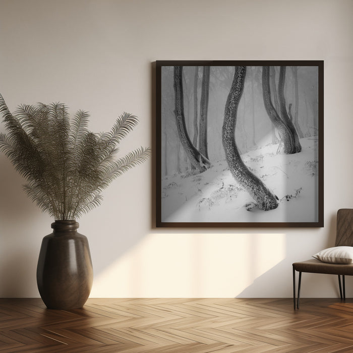 Frozen Forest by Martin Rak Square Canvas Print Art for Modern Home Decor. Decorate your office or living room with canvas artwork