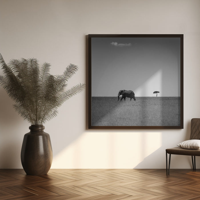 Elephant and the friendly cloud... by Ali Khataw Square Canvas Print Art for Modern Home Decor. Decorate your office or living room with canvas artwork