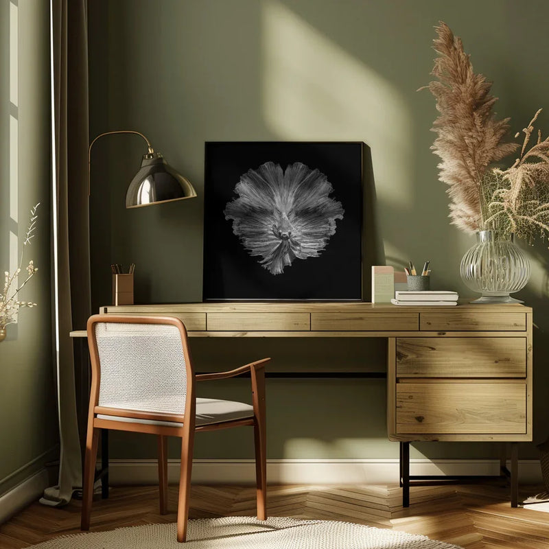 The Flower of tail Square Canvas Art  Andi Halil 