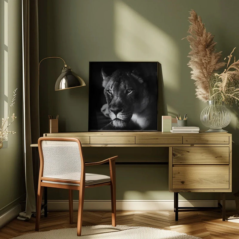 The Look Square Canvas Art  Jerry Berry 