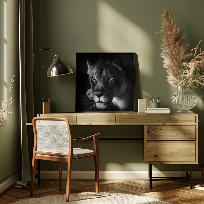 The Look Square Canvas Art  Jerry Berry 