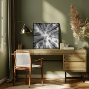 Tree Etching 002 by Rob Darby Square Canvas Print Art for Modern Home Decor. Decorate your office or living room with canvas artwork