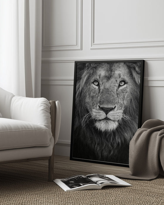 Royal portrait Framed Art Xavier Ortega | Home or Office Art