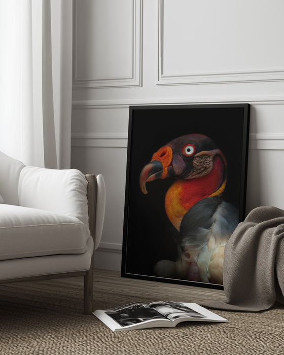 King vultureFramed ArtSarcoramphus papa Framed Art Ferdinando Valverde | Home or Office Art