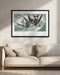 Fork Tailed Petrel From Birds of America (1827) - John James Audubon Framed Art | Home or Office Art