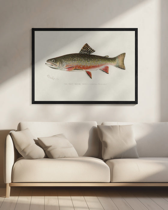 Male Brook Trout - Sherman F. Denton Framed Art | Home or Office Art