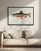 Male Brook Trout - Sherman F. Denton Framed Art | Home or Office Art