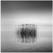 Black and White Silence Square Canvas Art  George Digalakis 