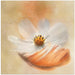 Light as a Feather by Gaille Gray Square Canvas Print Art for Modern Home Decor. Decorate your office or living room with canvas artwork