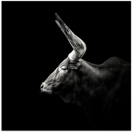 Watusi Square Canvas Art  Christian Meermann 