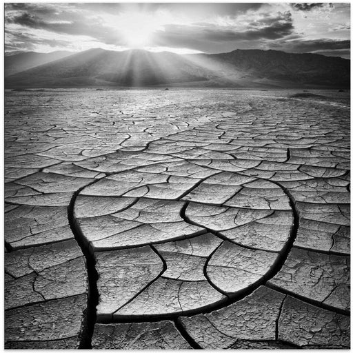 Arid by Yi Fan Square Canvas Print Art for Modern Home Decor. Decorate your office or living room with canvas artwork