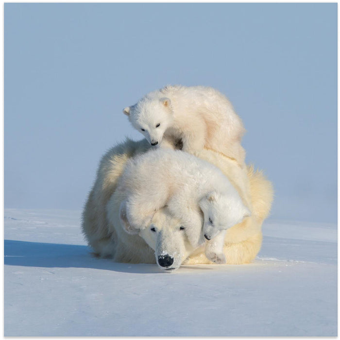 Patient mom by Hao Jiang Square Canvas Print Art for Modern Home Decor. Decorate your office or living room with canvas artwork