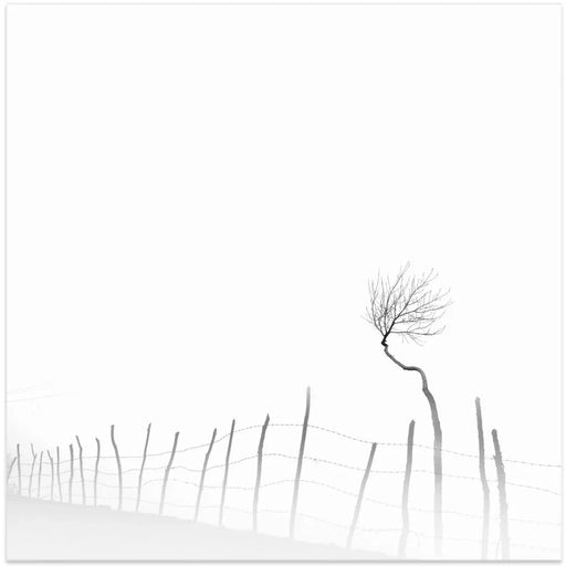 Silence by MOSTAFA NODEH Square Canvas Print Art for Modern Home Decor. Decorate your office or living room with canvas artwork