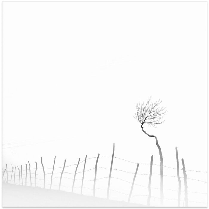 Silence by MOSTAFA NODEH Square Canvas Print Art for Modern Home Decor. Decorate your office or living room with canvas artwork