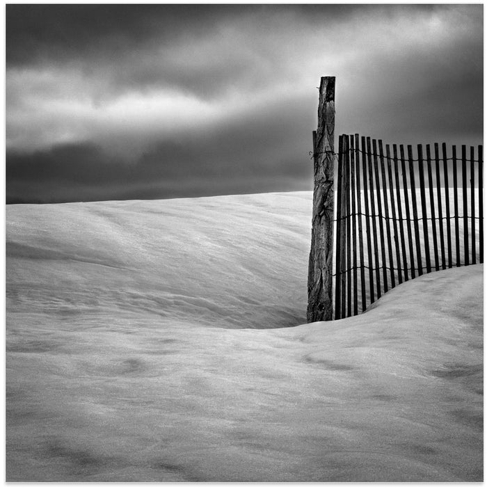 Fence by Elisabeth van Helden Square Canvas Print Art for Modern Home Decor. Decorate your office or living room with canvas artwork