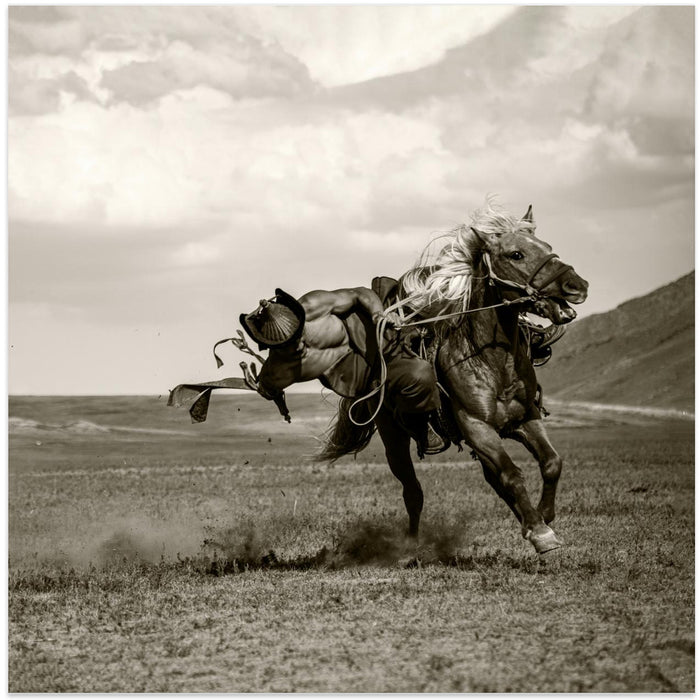 Galloping by Rachel Pansky Square Canvas Print Art for Modern Home Decor. Decorate your office or living room with canvas artwork