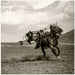 Galloping by Rachel Pansky Square Canvas Print Art for Modern Home Decor. Decorate your office or living room with canvas artwork