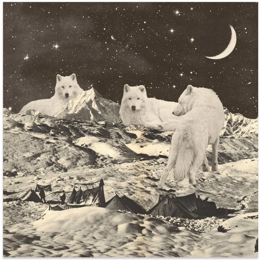 Giant White Wolves Square Canvas Art  Florent Bodart 