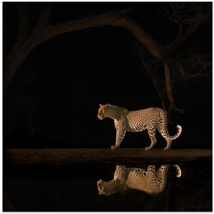 Inverted reflection in water by MIN LI Square Canvas Print Art for Modern Home Decor. Decorate your office or living room with canvas artwork