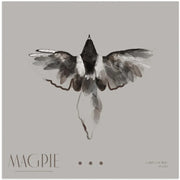Magpie II Square Canvas Art  Gabriella Roberg 