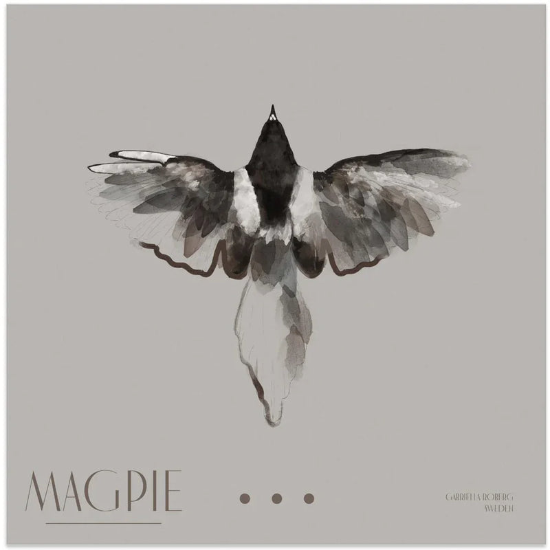 Magpie II Square Canvas Art  Gabriella Roberg 