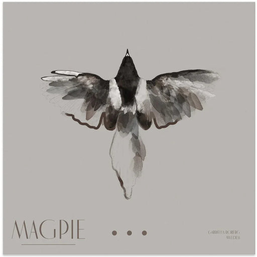 Magpie II Square Canvas Art  Gabriella Roberg 