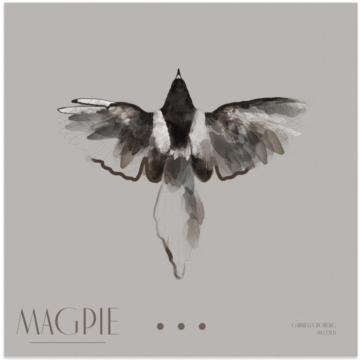 Magpie II Square Canvas Art  Gabriella Roberg 