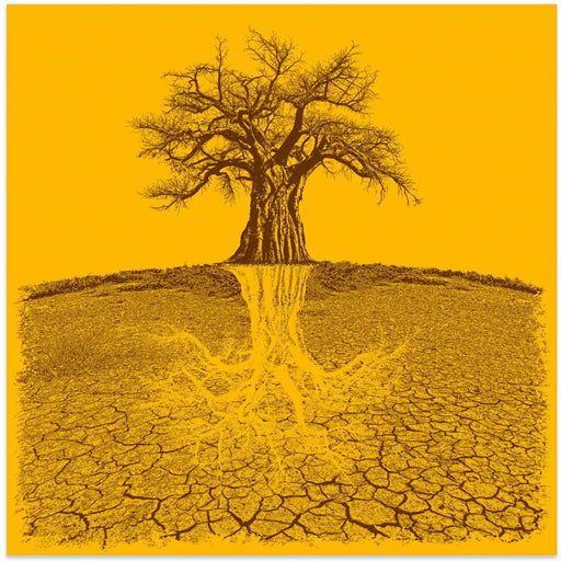 Baobab Mythical Roots Deeper Yellow (h) by Carlo Kaminski Square Canvas Print Art for Modern Home Decor. Decorate your office or living room with canvas artwork