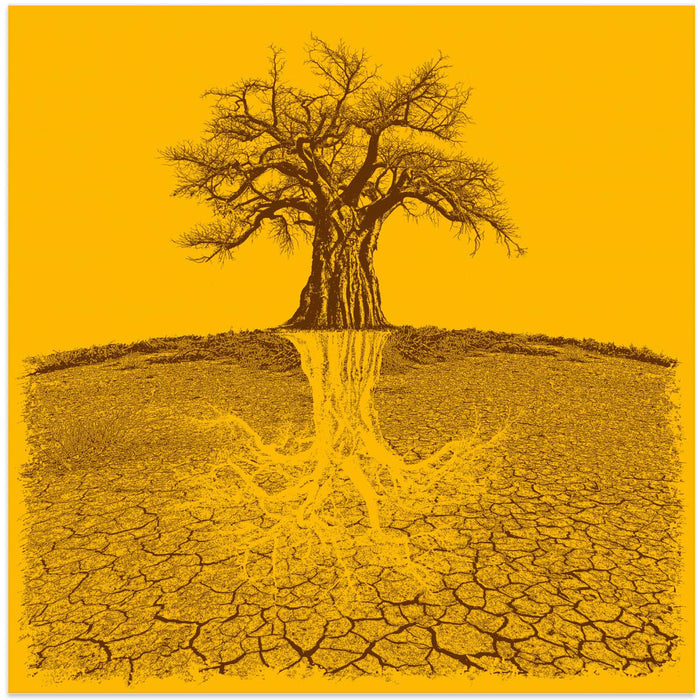 Baobab Mythical Roots Deeper Yellow (h) by Carlo Kaminski Square Canvas Print Art for Modern Home Decor. Decorate your office or living room with canvas artwork